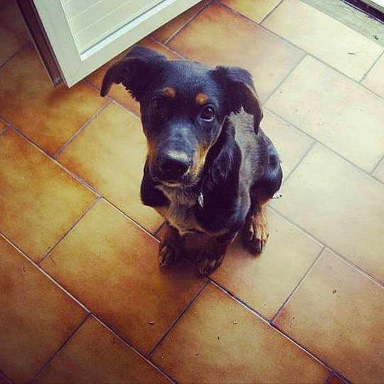Luna