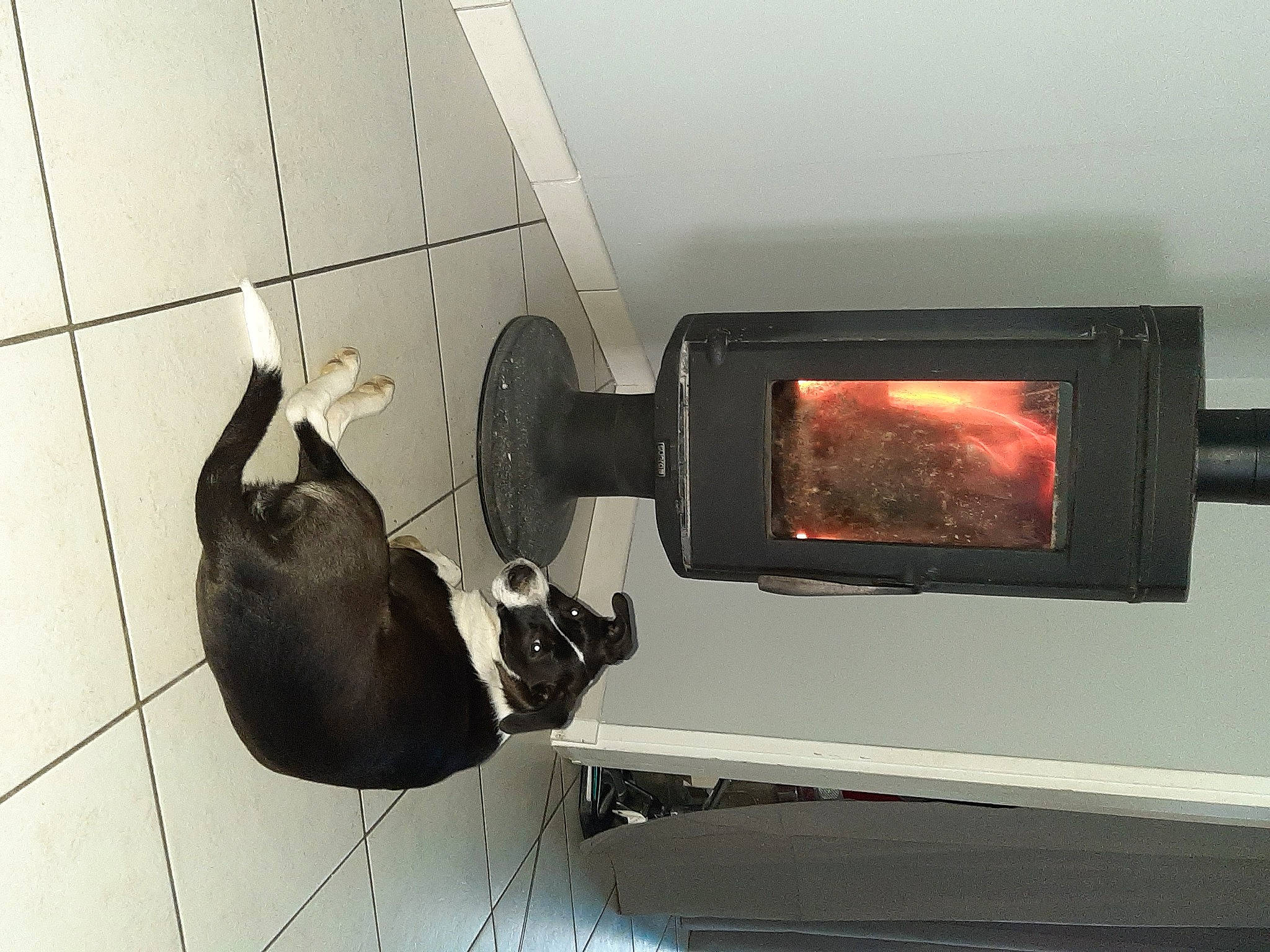 Luna participe au concours pour gagner de l'argent avec cette photo : display_device, gas, heat, shadow, television_set, tile, wood_burning_stove