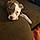 Bryson Zeus Peters