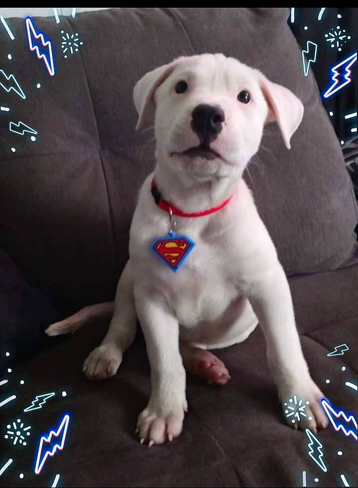 Krypto