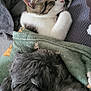 cat, dog, sleeping, blanket, cozy, fur, tabby, gray_dog, paw, indoor, resting, pet, closeup, snuggle, soft_texture, animal, companion, relaxation, cute, warm