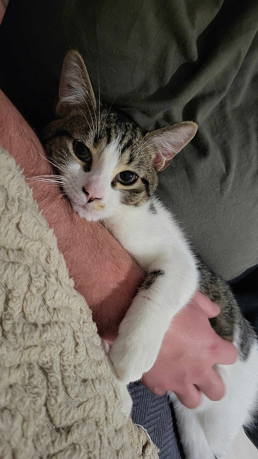 Milo
