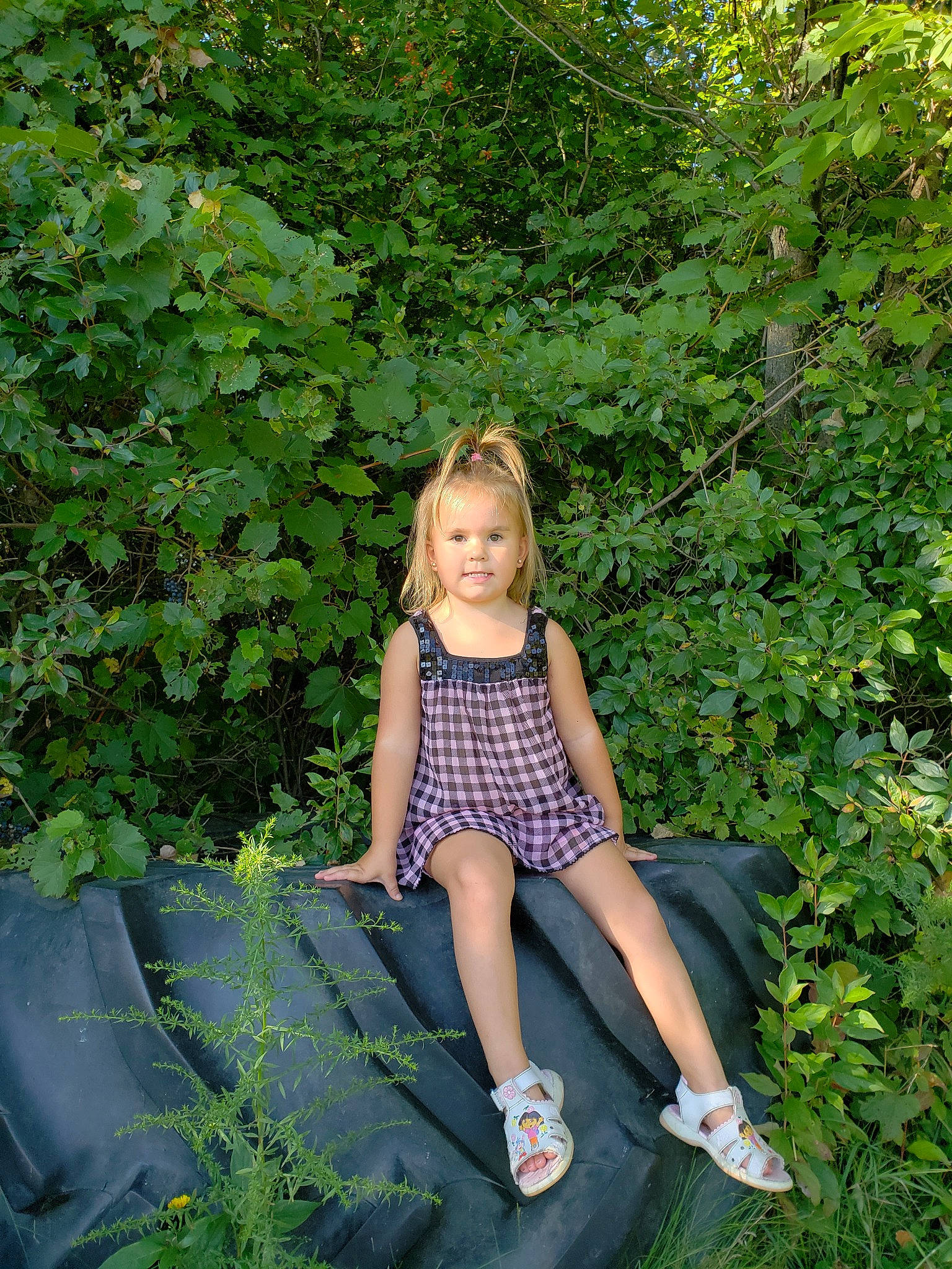Aria joined the competition — help win amazing prizes! botany, child, child_model, fawn, garden, grass, green, leaf, leisure, people_in_nature, person, photography, plant, sitting, summer, tree, vacation