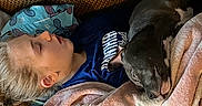 Blue is registered to the contest to win money with this photo: child, dog, sleeping, blanket, couch, indoor, resting, snuggling, cozy, comfort, home, pillow, relaxation, pet, fur, young, casual, warm, nap, peaceful