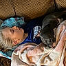 child, dog, sleeping, blanket, couch, indoor, resting, snuggling, cozy, comfort, home, pillow, relaxation, pet, fur, young, casual, warm, nap, peaceful