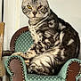 cat, tabby, yellow_eyes, feline, pet, indoor, armchair, furniture, seated, striped_fur, looking_at_camera, whiskers, ears, tail, domestic_animal, close_up, household, resting, cute, animal