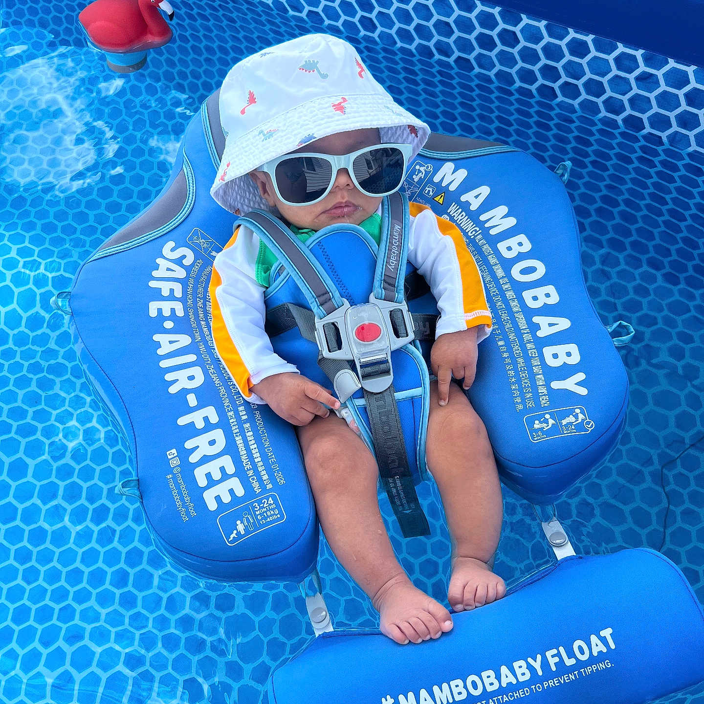 Wesson is registered to the contest to win money with this photo: baby, pool, float, sunglasses, hat, water, blue, red_flamingo, baby_float, child, summer, outdoor, safety_harness, swimming_pool, infant, relaxing, sun_protection, footrest, toy, cute