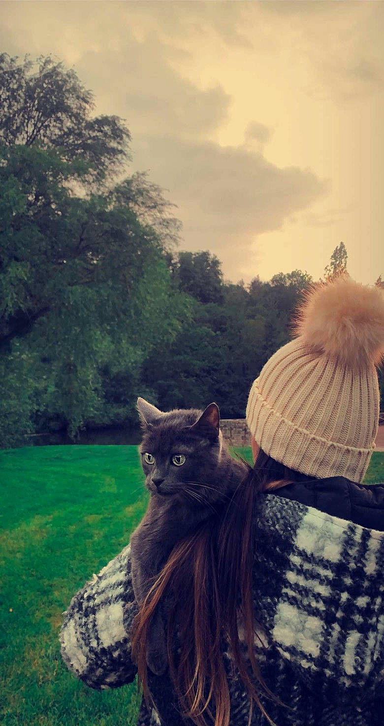 Câline a rejoint le concours — aidez-le/la à gagner de superbes lots ! cap, carnivore, cat, cloud, fawn, felidae, grass, happy, landscape, morning, plant, sculpture, sky, small_to_medium_sized_cats, sunglasses, sunlight, tints_and_shades, tree, whiskers, wood