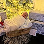 Juan joined the competition — help win amazing prizes! newborn, baby, basket, blanket, christmas_tree, christmas_lights, gift_box, plush_toy, teddy_bear, holiday, sleeping, swaddled, decorations, festive, white_clothing, soft_texture, indoors, cozy, holiday_season, smile