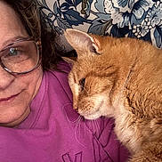 Cooper joined the competition — help win amazing prizes! cat, close_up, companion, cozy, cute, eyewear, face, floral_background, fur, ginger_cat, glasses, home, indoor, person, pet, portrait, purple_sweatshirt, relaxed, snuggling, whiskers