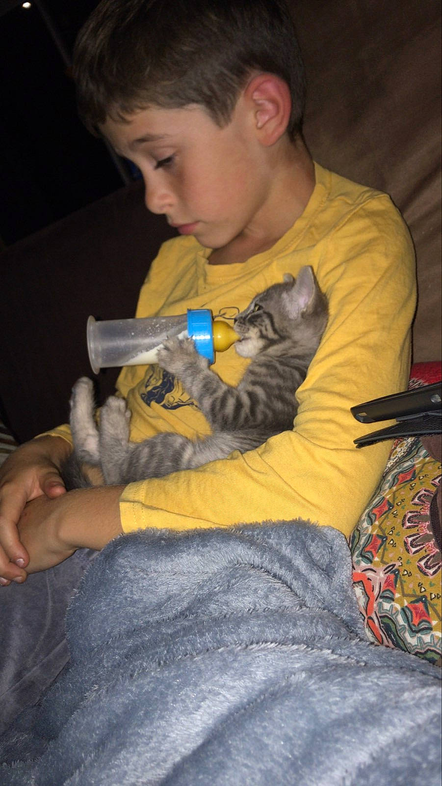 Timy participe au concours pour gagner de l'argent avec cette photo : carnivore, cat, child, comfort, ear, fawn, felidae, finger, fun, gadget, head, iris, lap, remote_control, small_to_medium_sized_cats, stuffed_toy, t_shirt, toddler, toy, whiskers