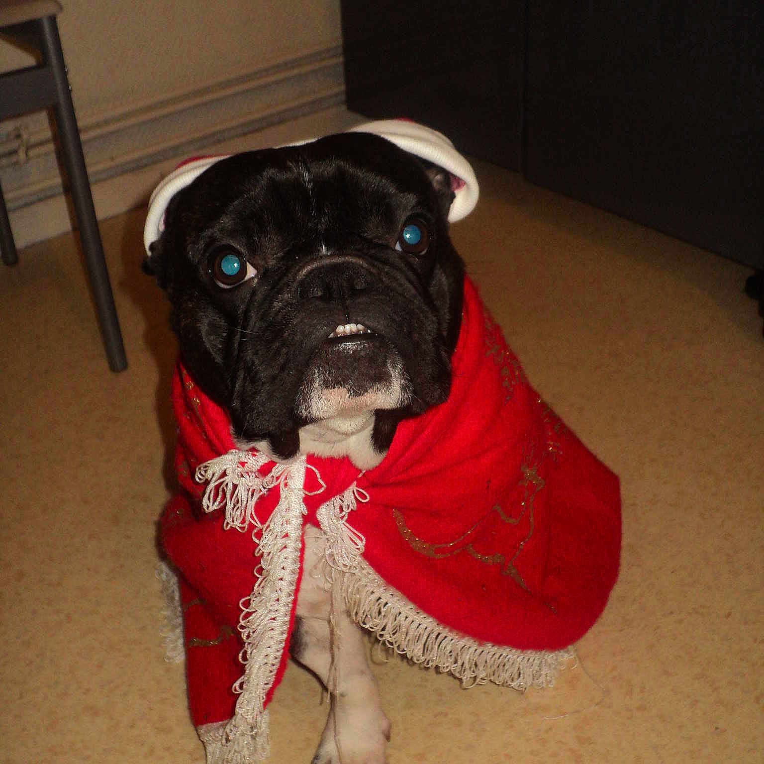 Auguste participe au concours pour gagner de l'argent avec cette photo :