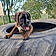 Athos Ou Olympe