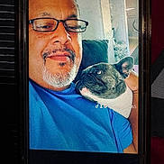 Bella Burgos is registered to the contest to win money with this photo: man, glasses, blue_shirt, dog, french_bulldog, pet, couch, indoor, selfie, smile, facial_hair, affection, closeup, portrait, casual, relaxed, companion, human, animal, friendship
