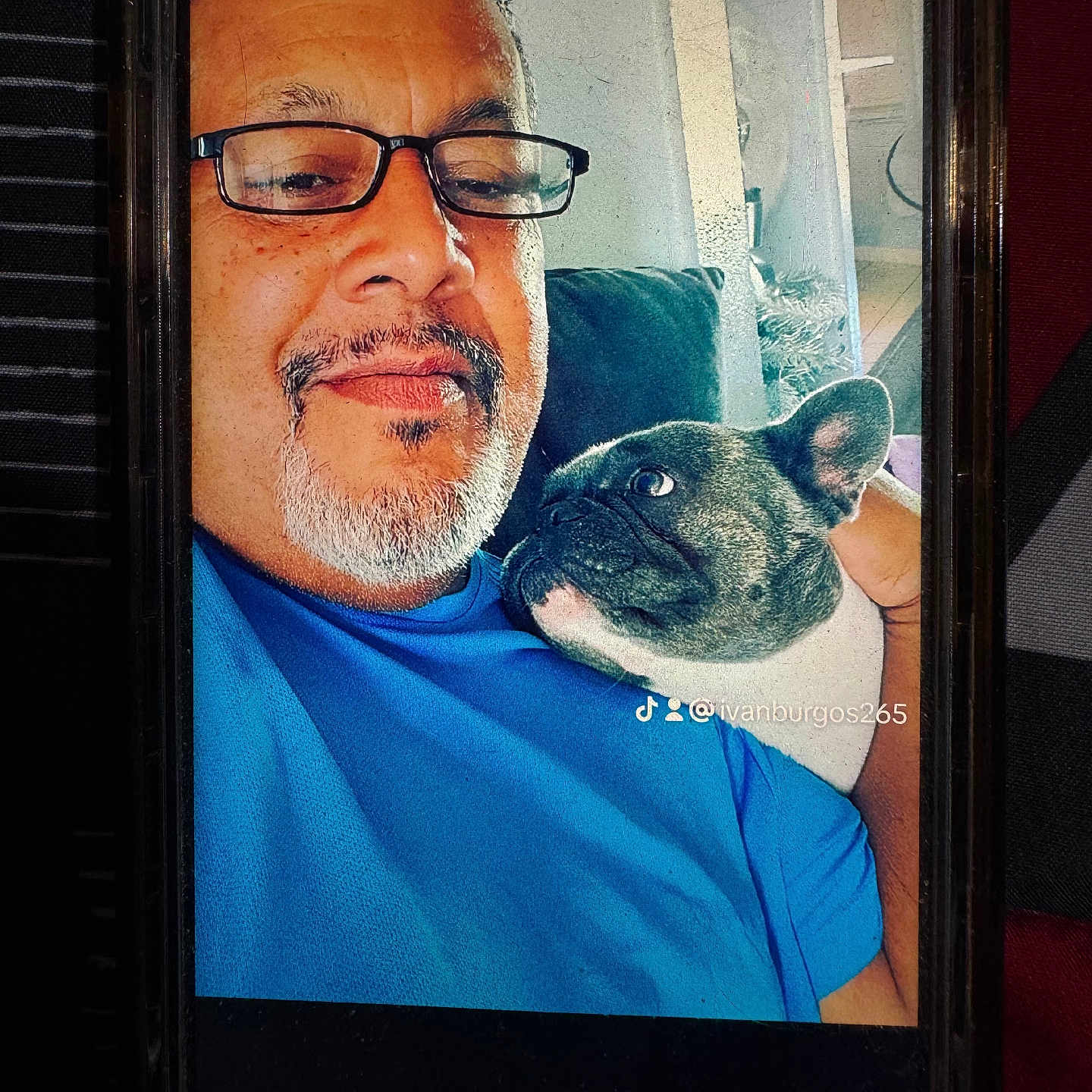 Bella Burgos is registered to the contest to win money with this photo: affection, animal, blue_shirt, casual, closeup, companion, couch, dog, facial_hair, french_bulldog, friendship, glasses, human, indoor, man, pet, portrait, relaxed, selfie, smile
