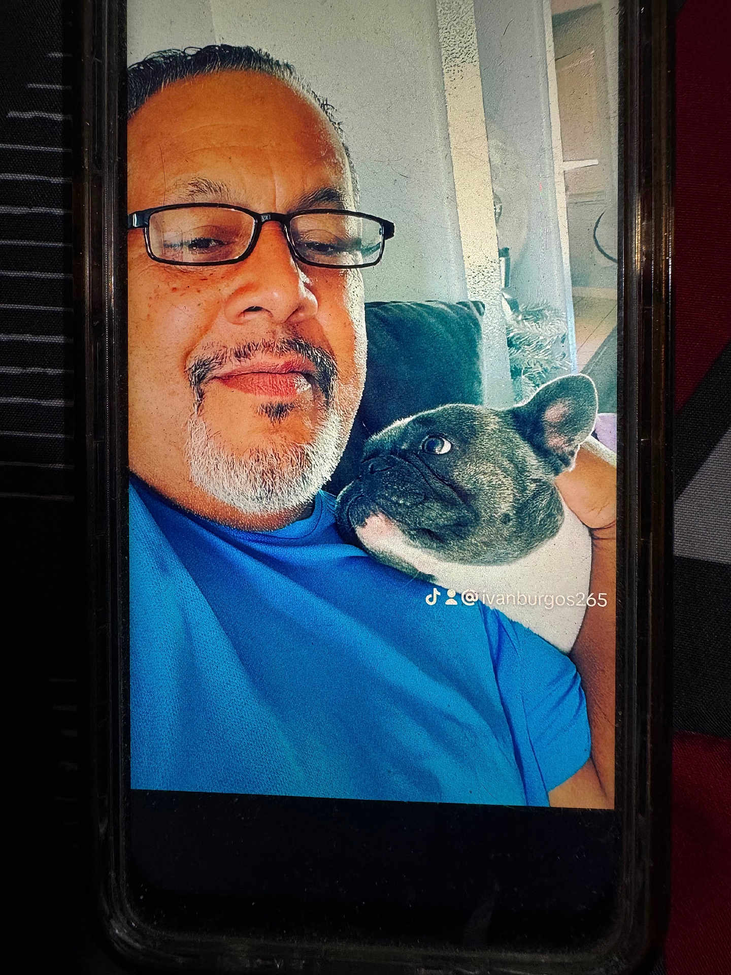 Bella Burgos is registered to the contest to win money with this photo: man, glasses, blue_shirt, dog, french_bulldog, pet, couch, indoor, selfie, smile, facial_hair, affection, closeup, portrait, casual, relaxed, companion, human, animal, friendship