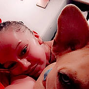 Keeway joined the competition — help win amazing prizes! close_up, companion, cozy, dog, ear, face, fur, home, indoor, light, painting, person, pet, portrait, red, selfie, skin, smile, snuggle, wall_art