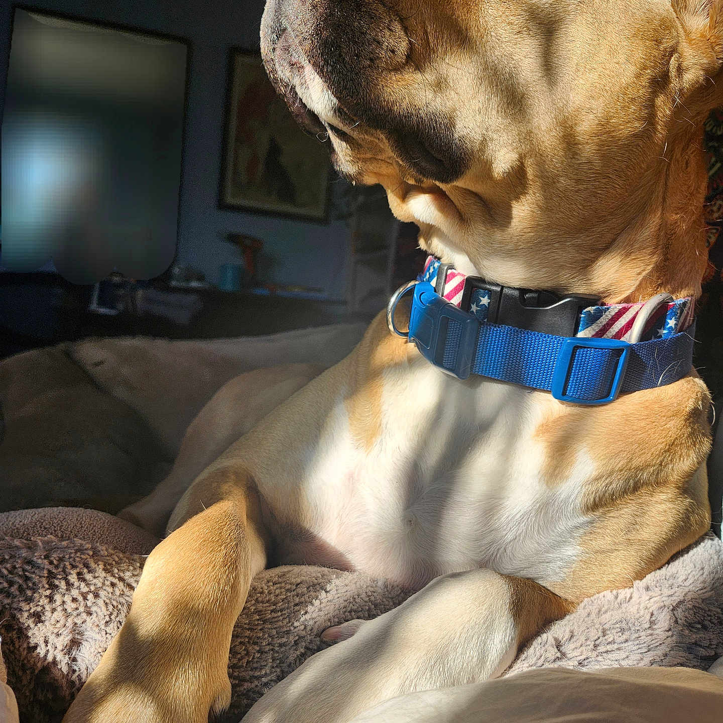 Homer