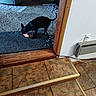 black_dog, carpet, chair, cord, cozy, dog, floor, home, indoor, living_room, pet, playing, power_outlet, small_dog, steps, tile_floor, toy, vacuum_cleaner, wall, wood_trim