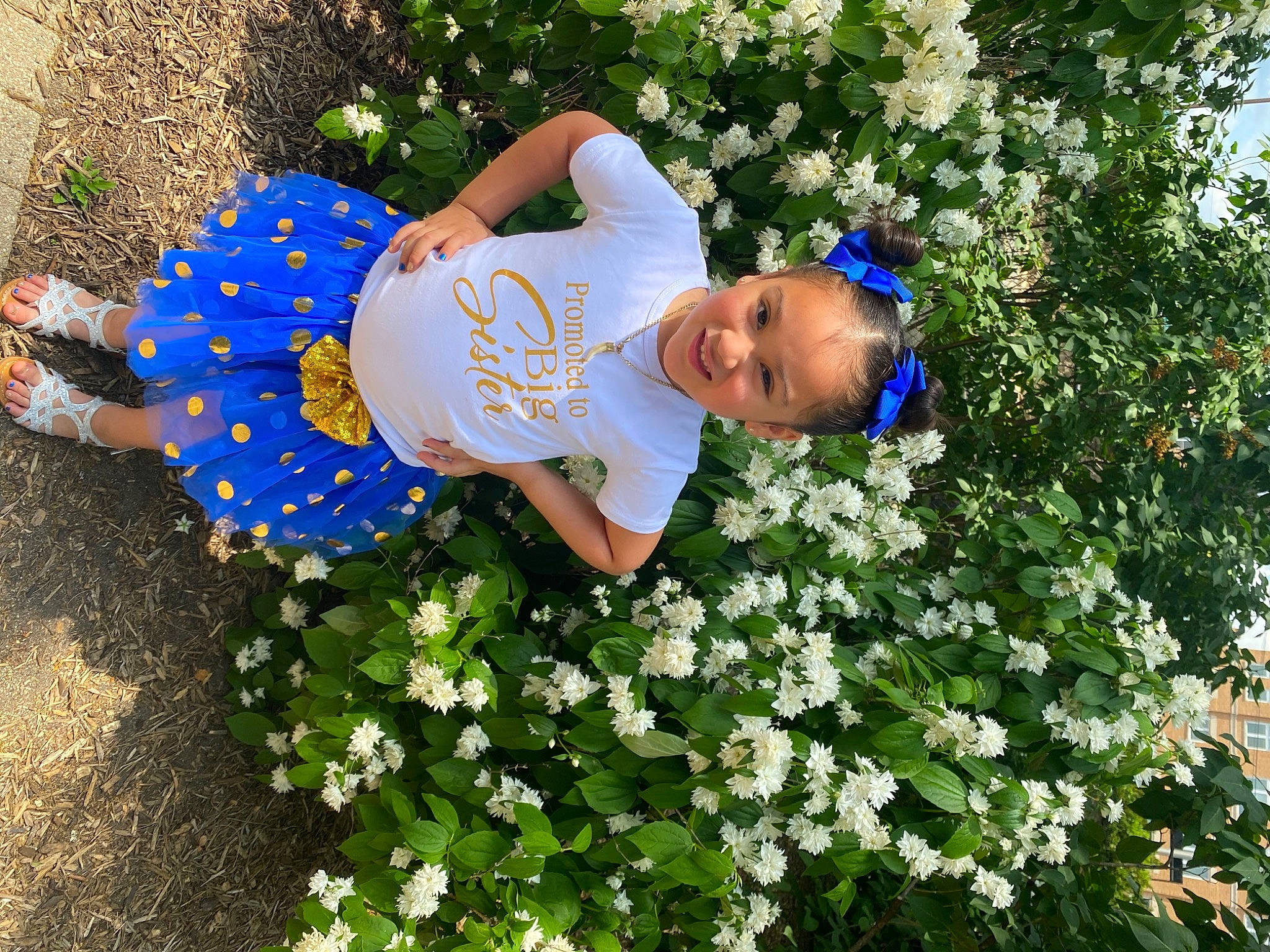 Jayleen is registered to the contest to win money with this photo: annual_plant, baby_toddler_clothing, botany, electric_blue, flower, flowering_plant, garden, grass, groundcover, happy, hat, joy, lawn, leisure, people_in_nature, person, petal, plant, rose_family, shrub