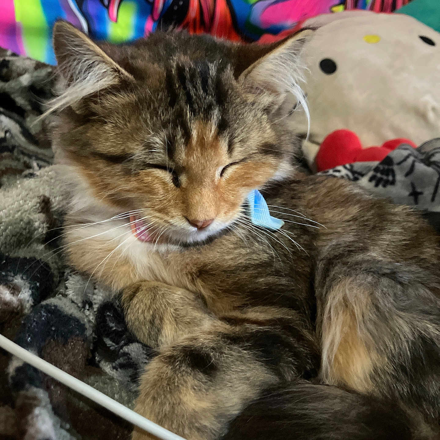 Pip