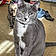 King Bumi