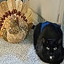black_cat, cat, animal, pet, indoor, carpet, decor, figurine, turkey_figurine, holiday, floor, black_fur, white_patch, eyes, sitting, quiet, cozy, home, domestic, still_life