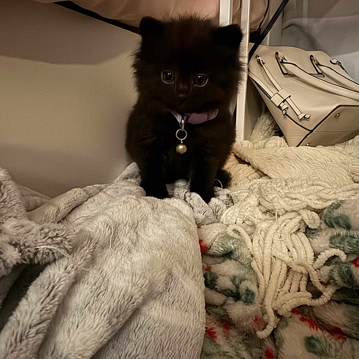 Winston
