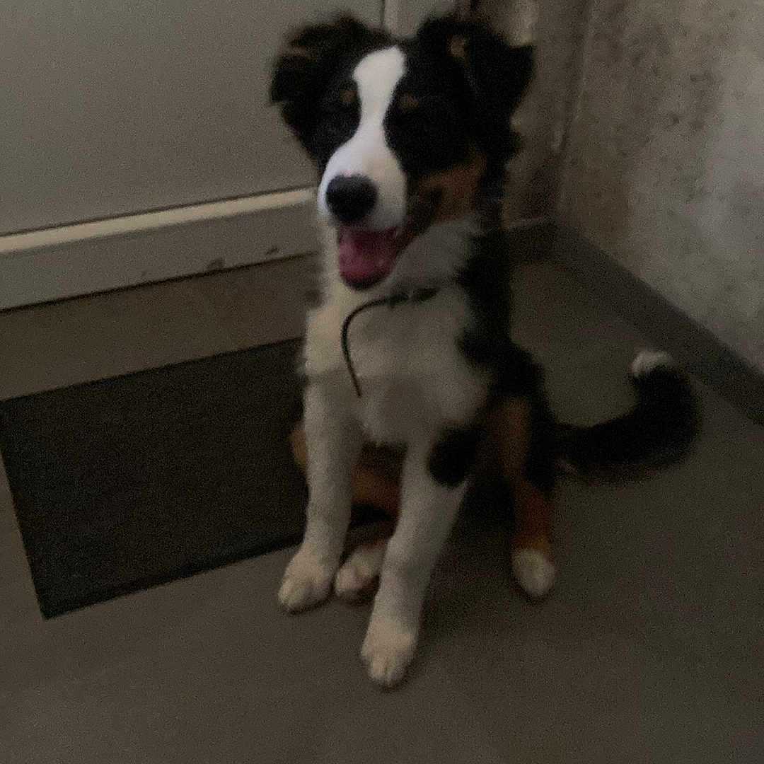 Billy