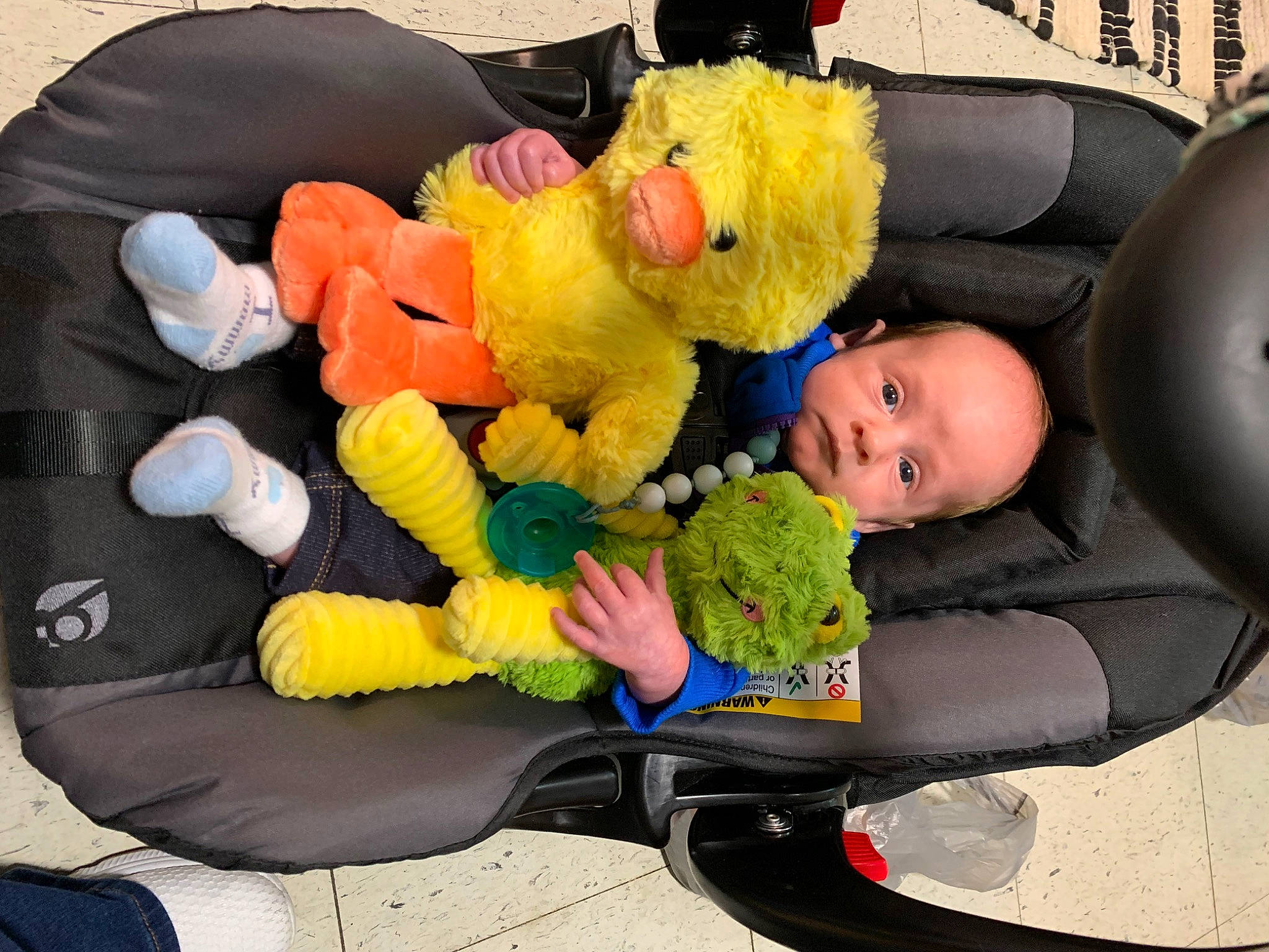 Alex joined the competition — help win amazing prizes! baby, baby_products, baby_toys, car, car_seat, child, comfort, family_car, lap, motor_vehicle, person, plant, plush, room, sitting, stuffed_toy, teddy_bear, toddler, toy, vehicle