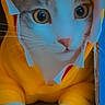 Scratch participe au concours pour gagner de l'argent avec cette photo : animal, cartoon, cat, clothing, crawling, face, glove, head, kitten, person, pet, surprised