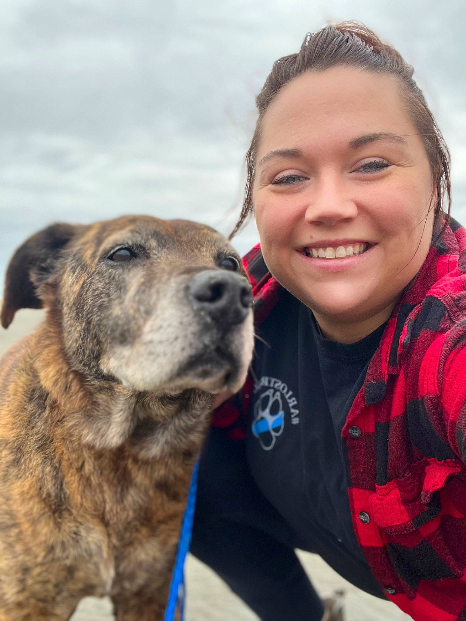 Reecy joined the competition — help win amazing prizes! adventure, canidae, carnivore, cloud, collar, companion_dog, dog, dog_breed, fawn, fur, happy, pattern, plaid, sky, smile, snout, sporting_group, tartan, travel, working_dog