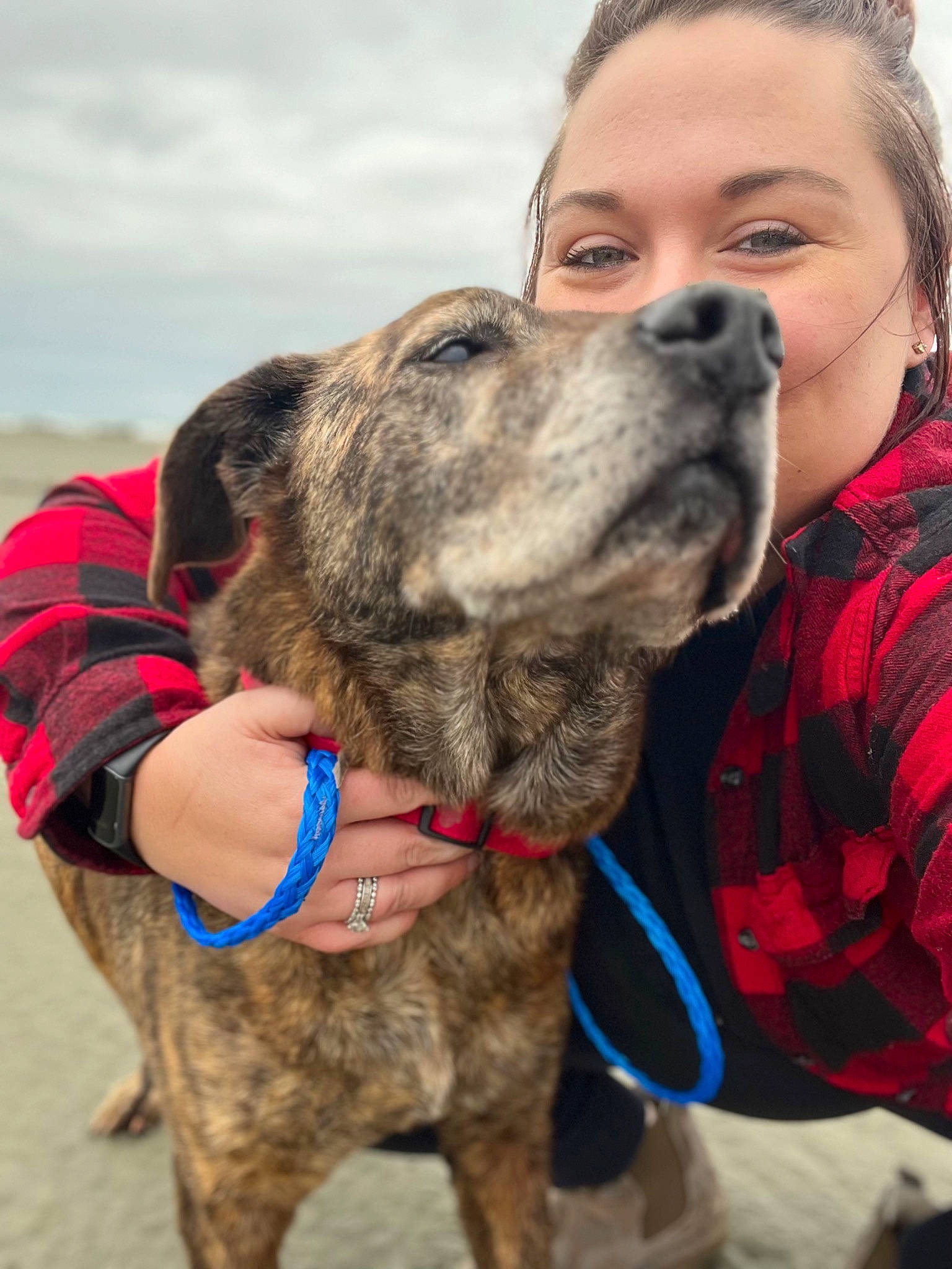 Reecy is registered to the contest to win money with this photo: canidae, carnivore, cloud, collar, companion_dog, dog, dog_breed, dog_collar, ear, fawn, fur, giant_dog_breed, guard_dog, happy, liver, sky, snout, sporting_group, working_animal, wrinkle