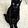 Mavis