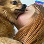 dog, pet, person, face, close_up, licking, affection, fur, hair, indoor, companion, cute, love, animal, friendship, portrait, warm, cuddle, nose, whiskers