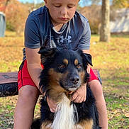 Zeke is registered to the contest to win money with this photo: animal, autumn, bench, black_dog, boy, brown_dog, casual_clothing, daylight, dog, fall_leaves, friendship, grass, gray_shirt, nature, outdoor, pet, red_shorts, tree, white_fur, young_child