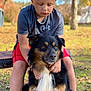 animal, autumn, bench, black_dog, boy, brown_dog, casual_clothing, daylight, dog, fall_leaves, friendship, grass, gray_shirt, nature, outdoor, pet, red_shorts, tree, white_fur, young_child