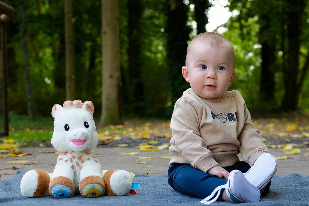 Manoe a rejoint le concours — aidez-le/la à gagner de superbes lots ! baby, child, plush_toy, giraffe, outdoor, forest, blanket, autumn_leaves, sitting, curious, casual_clothing, footwear, nature, young_child, toy, greenery, daylight, cute, person, portrait