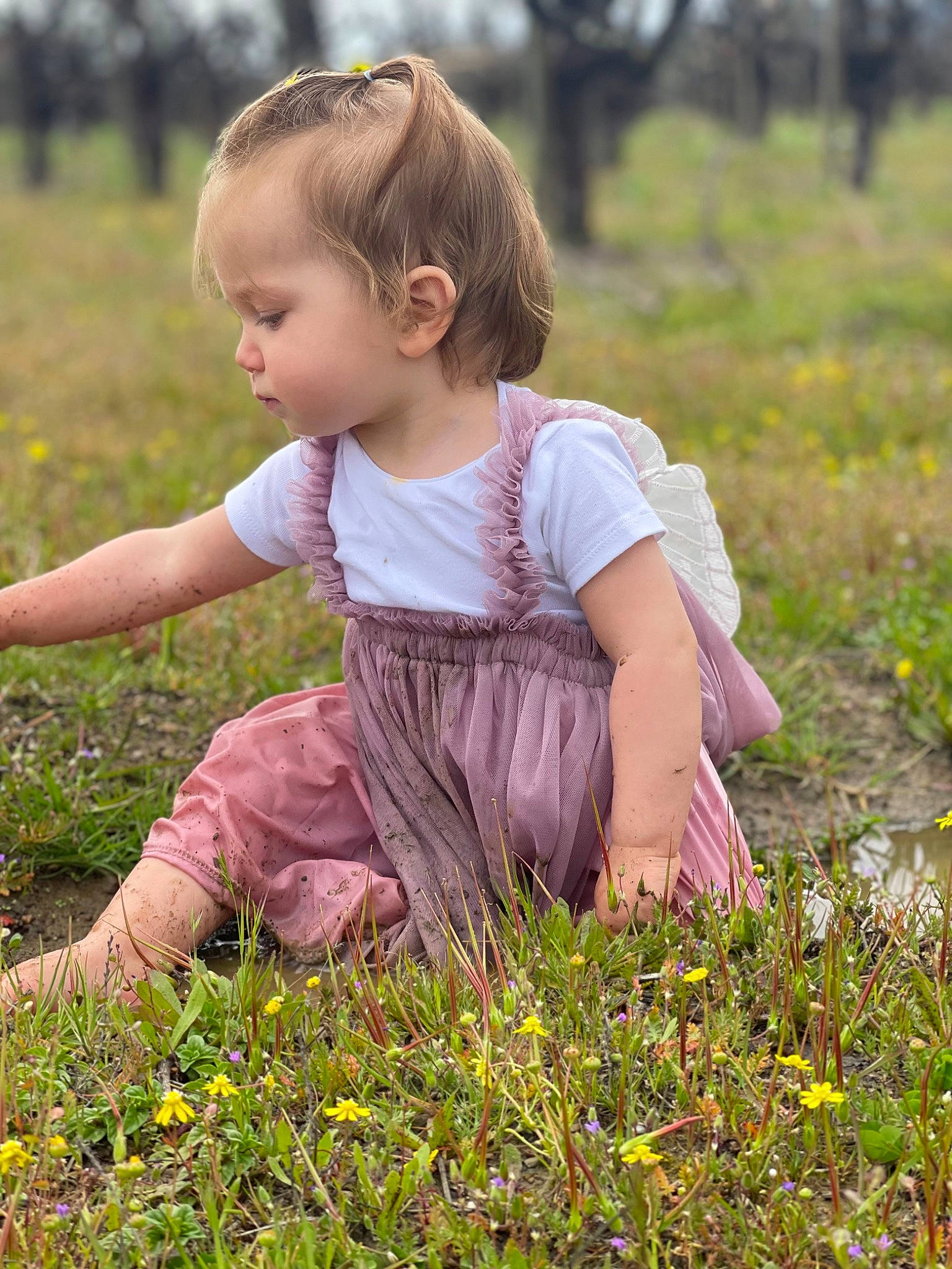 Porter is registered to the contest to win money with this photo: agriculture, baby, baby_toddler_clothing, child, field, flower, grass, grass_family, grassland, groundcover, happy, meadow, pattern, people_in_nature, person, plant, prairie, sitting, sunlight, toddler