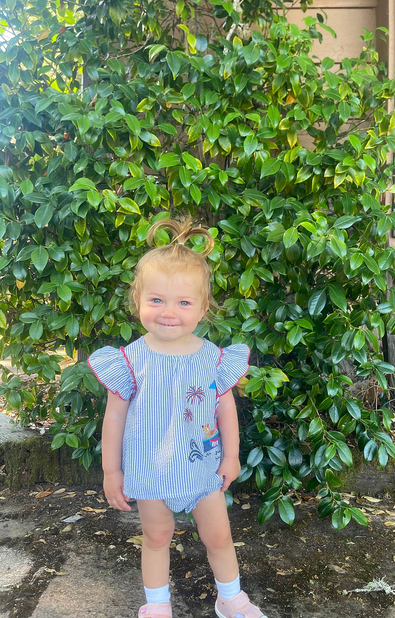 Porter joined the competition — help win amazing prizes! baby, baby_toddler_clothing, botany, child, electric_blue, garden, grass, happy, joy, leaf, pattern, people_in_nature, person, plant, portrait_photography, rose_family, shrub, sleeve, smile, t_shirt