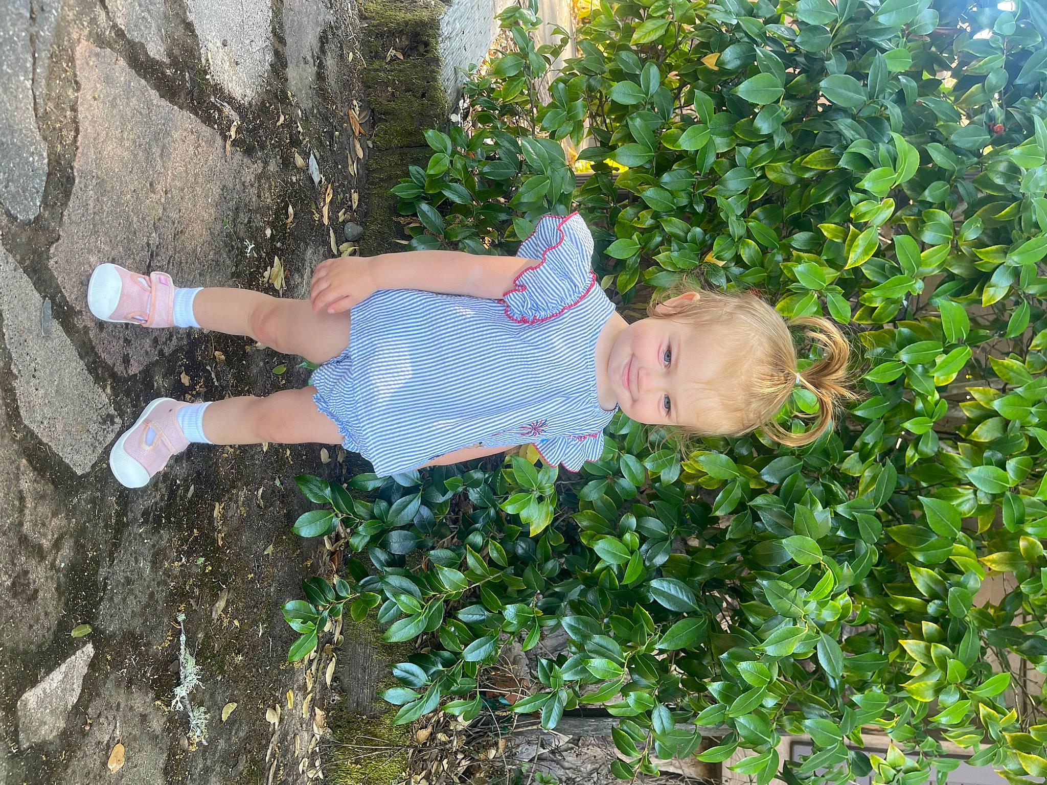 Porter joined the competition — help win amazing prizes! annual_plant, child, flower, flowering_plant, foot, fun, garden, grass, groundcover, herb, human_leg, joy, knee, people_in_nature, person, plant, shorts, shrub, smile, t_shirt