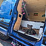 dog, blue_van, camper_van, wooden_interior, flowers, bed, blanket, shoes, gravel, outdoor, vehicle, tire, door, collar, resting, pet, decoration, sunlight, relaxation, travel