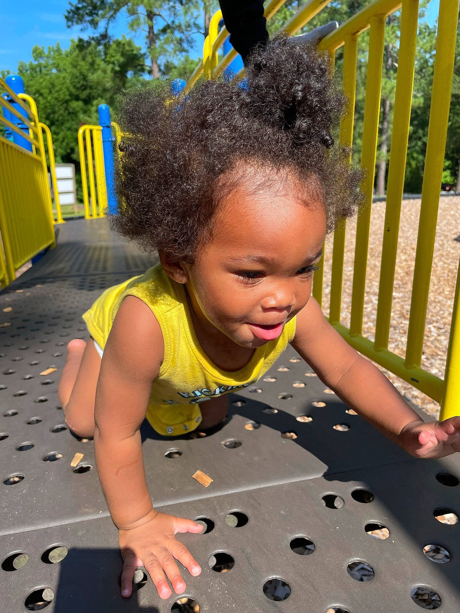 Tyrus joined the competition — help win amazing prizes! adaptation, black, blue, flooring, fun, grass, green, hairstyle, happy, human, leisure, morning, nature, person, photograph, public_space, recreation, summer, toddler, tree