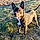 Krysti M.
