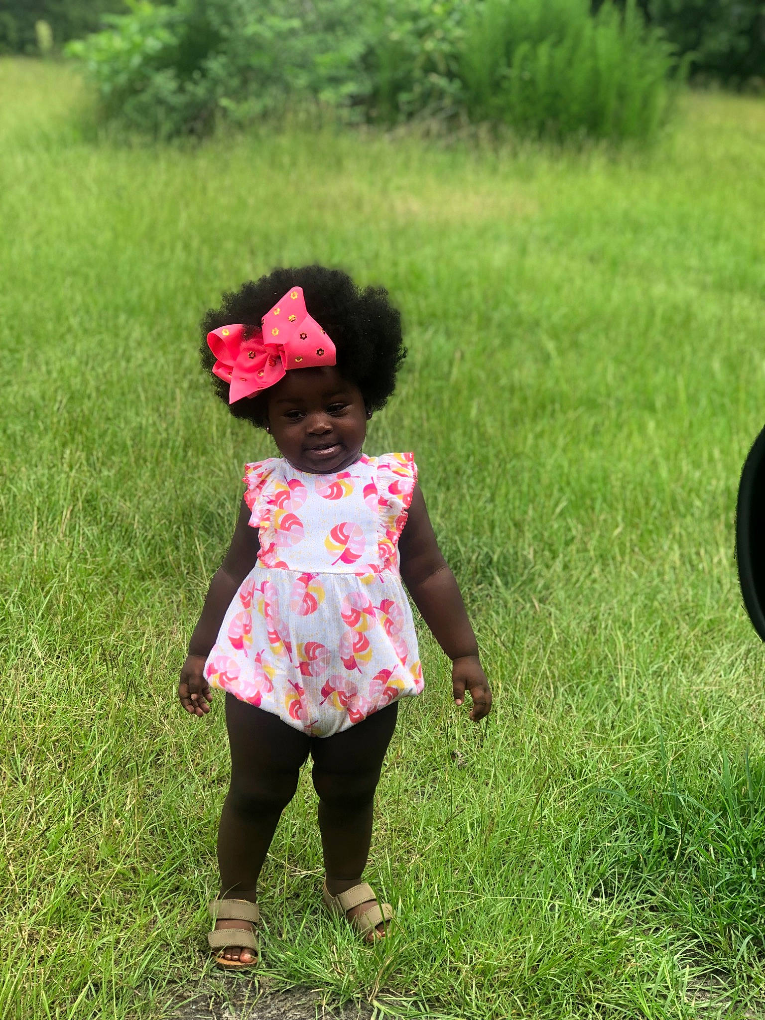 Melanie joined the competition — help win amazing prizes! baby_toddler_clothing, child, fashion_accessory, fun, garden, grass, grass_family, grassland, happy, hat, headwear, lawn, leisure, magenta, meadow, pattern, people_in_nature, person, plant, tints_and_shades
