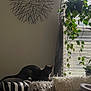 Gigi is registered to the contest to win money with this photo: cat, indoor, cushion, pillow, striped_pillow, yellow_pillow, furry_pillow, window, blinds, hanging_plant, green_plant, wall_art, modern_art, decor, relaxing, sunlight, shadow, cozy, furniture, living_room