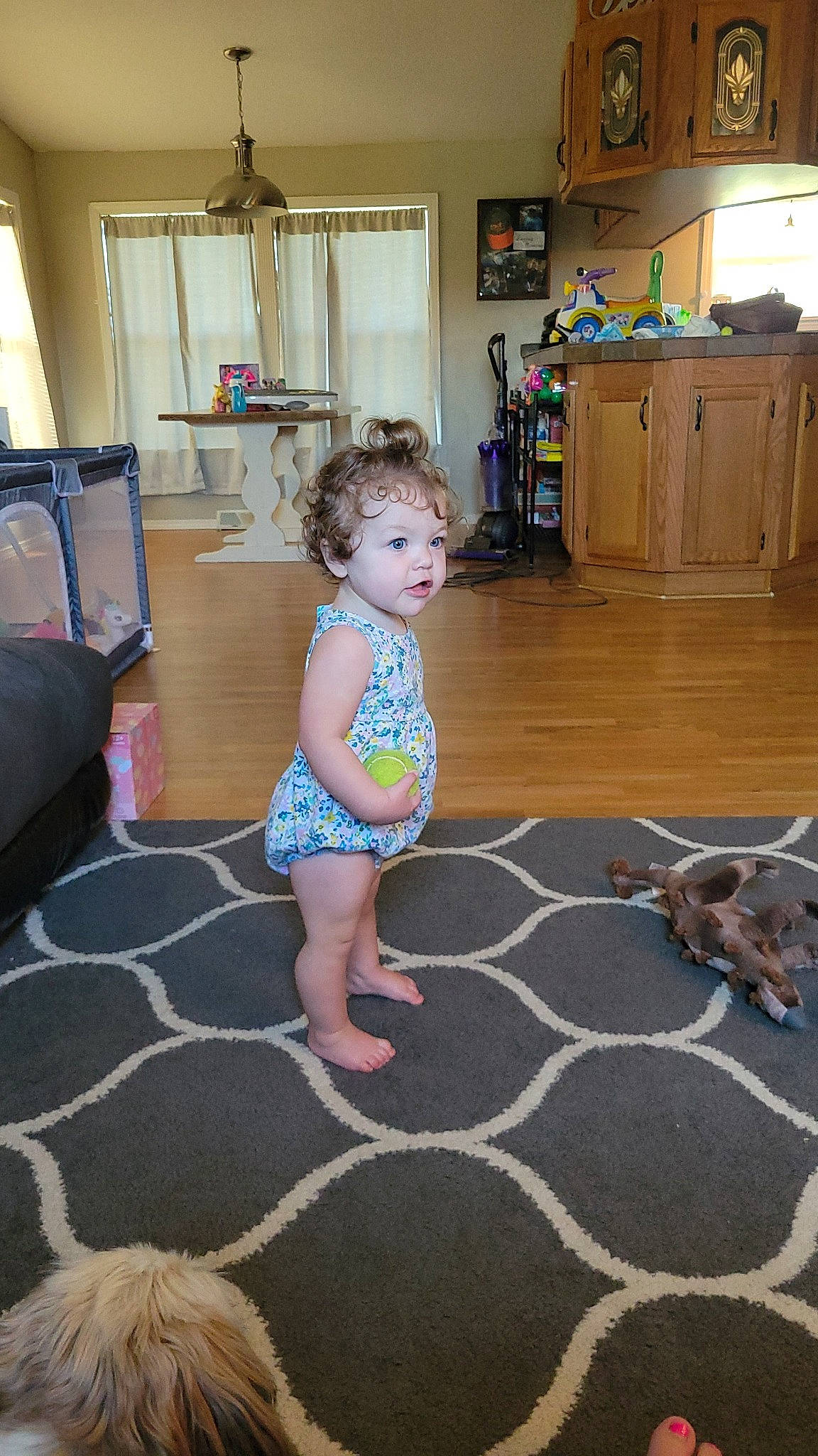 Ellery is registered to the contest to win money with this photo: baby, barefoot, cabinetry, child, drawer, floor, flooring, foot, fun, hardwood, home_appliance, human_leg, leg, living_room, person, play, sitting, thigh, toddler, window