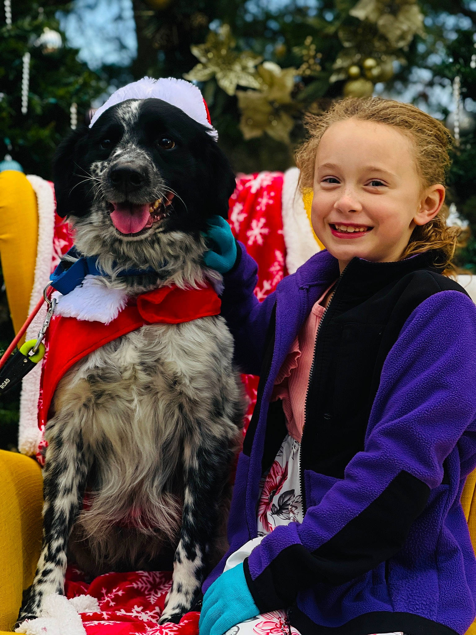 Addison is registered to the contest to win money with this photo: canidae, carnivore, collar, companion_dog, dog, dog_breed, dog_collar, dog_sports, event, fun, fur, happy, joy, leash, leisure, person, recreation, smile, snout, sporting_group