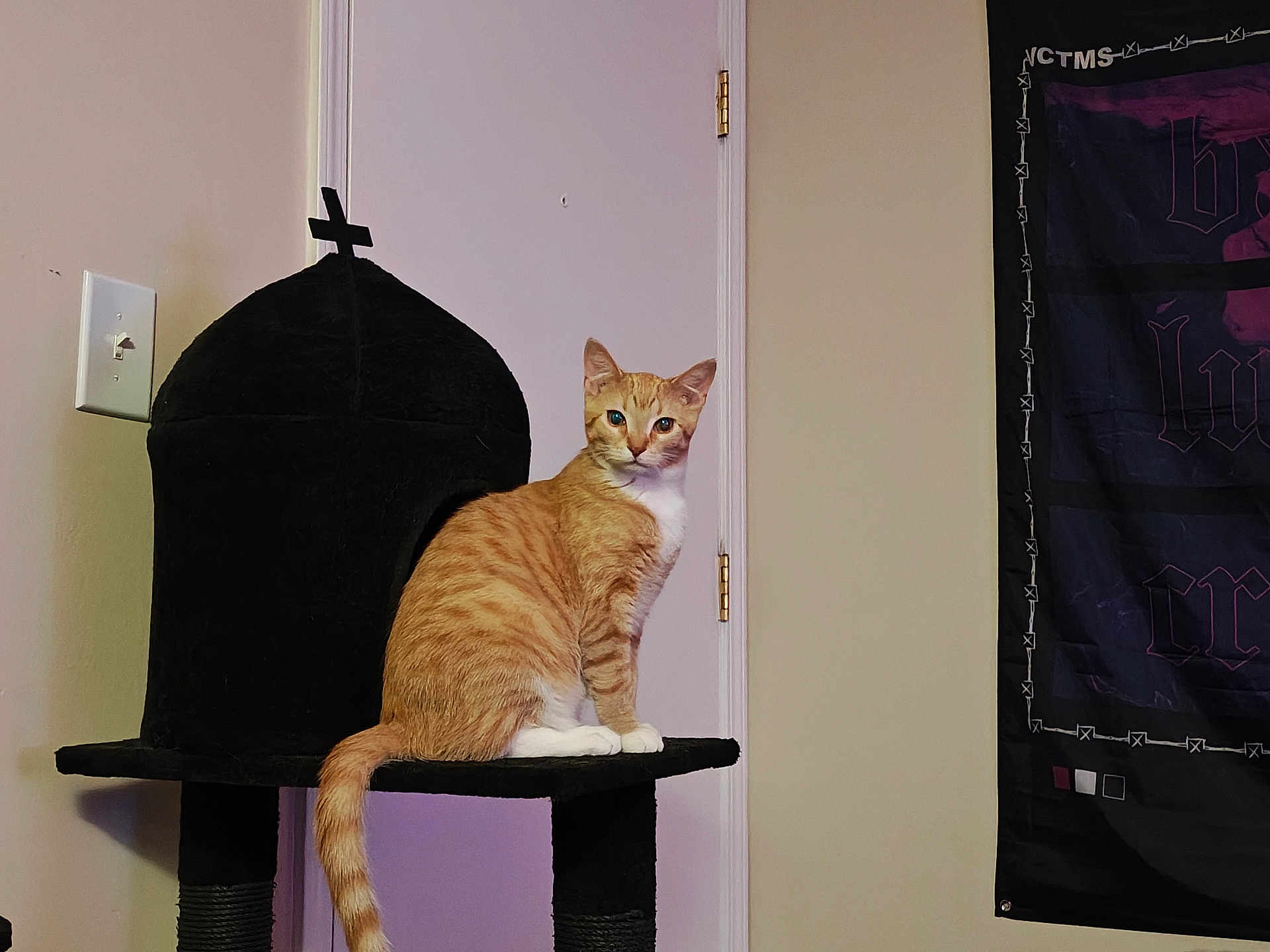 Maurice