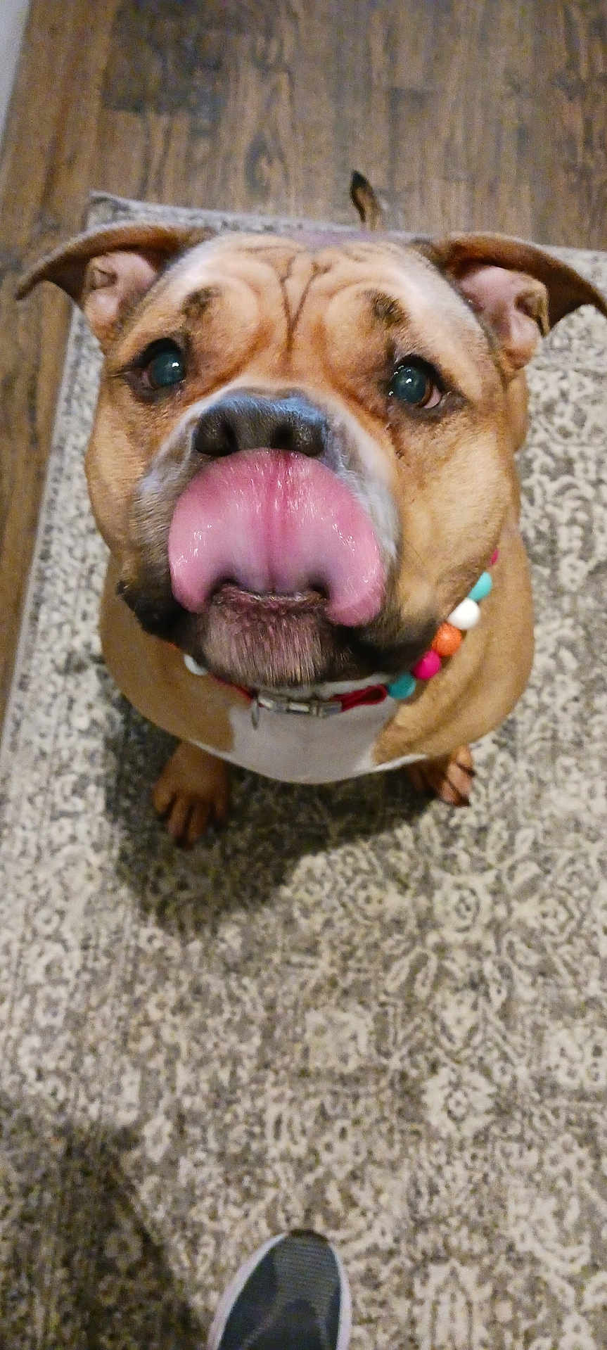 Coco